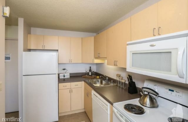 1207 S Michigan Ave 1 - 1207 South Michigan Avenue, Chicago, IL 60605