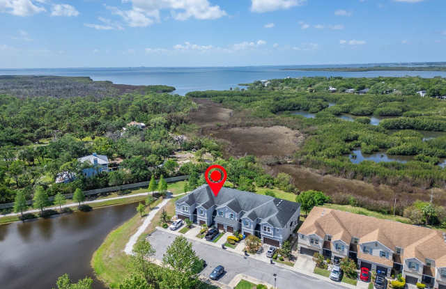 Comfort, Convenience & Gated Community Living in the Heart of Tampa ! Gallery 4