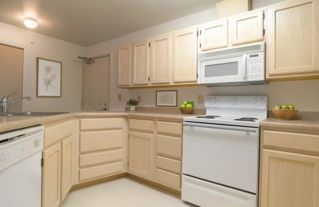 Brighton Park photos photos Brighton Park photos photos