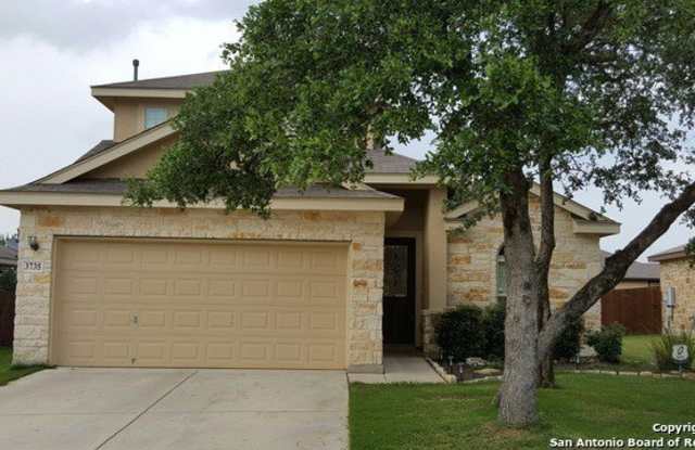 3735 OX-EYE DAISY - 3735 Ox-Eye Daisy, Bexar County, TX 78261