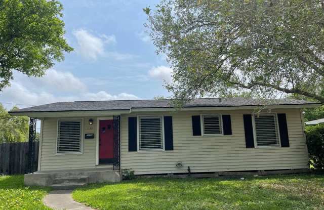 New Rental!! Near Mall, Great schools - 1102 Zarsky Drive, Corpus Christi, TX 78412