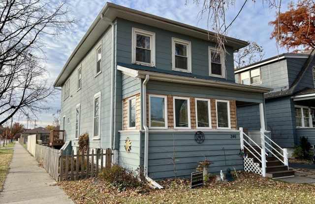 246 Washington Avenue - 246 Washington Avenue, La Grange, IL 60525