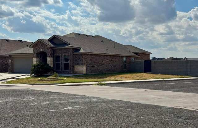 9323 Bee Balm Ave - 9323 Bee Balm Avenue, Ector County, TX 79765