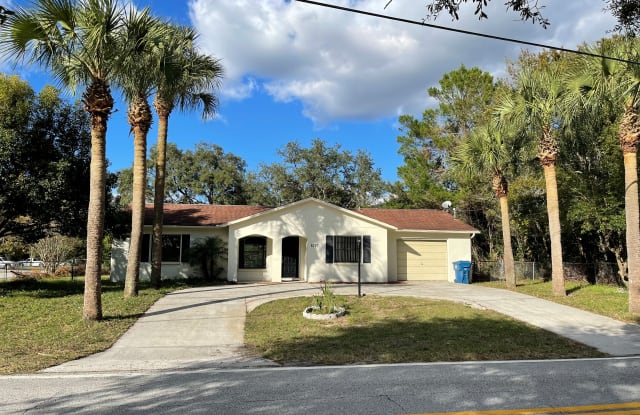 8247 Norbert St - 8247 Norbert Street, Spring Hill, FL 34606