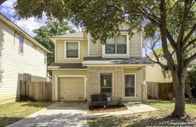 6118 Pecan Tree photos photos