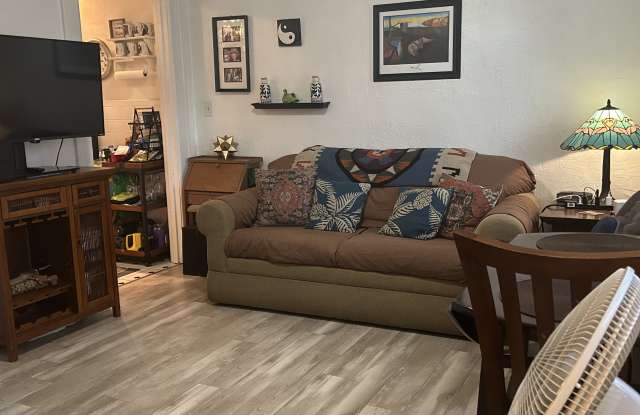 715 5th St NApt 5 - 715 5th Street North, St. Petersburg, FL 33701