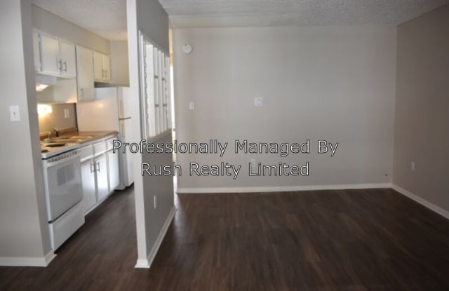 1245 Lafayette St. - 1245 Lafayette Street, Denver, CO 80218
