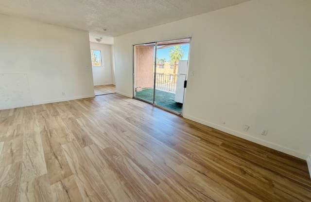 537 KOLSON CIR Gallery 4