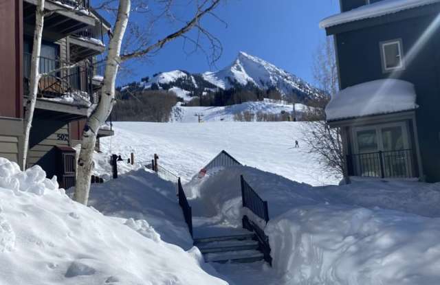 Amazing slope side location! - 21 Crested Mountain Lane, Mount Crested Butte, CO 81224