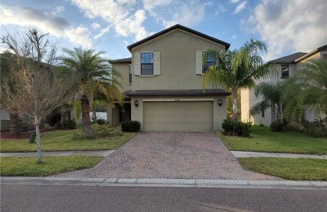 20040 DATE PALM WAY - 20040 Date Palm Way, Tampa, FL 33647