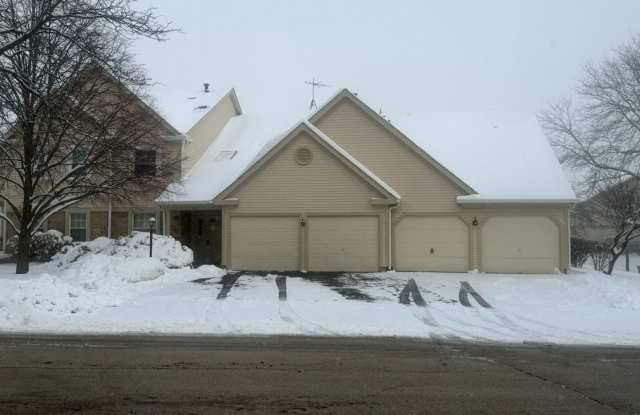 205 Glasgow Lane - 205 Glasgow Lane, Schaumburg, IL 60194