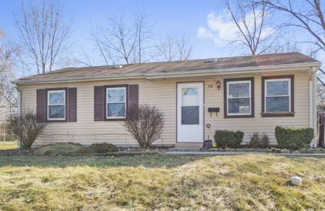 594 Andover Street - 594 Andover Street, Chicago Heights, IL 60411