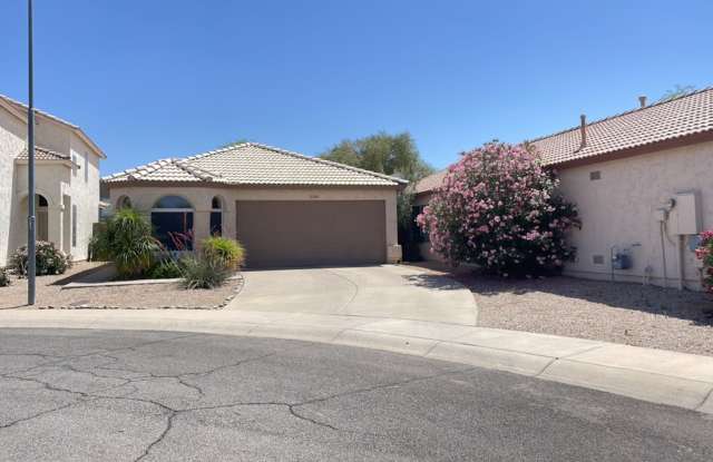 Charming 3 bed 2 bath home on a cul-de-sac in Phoenix! photos photos