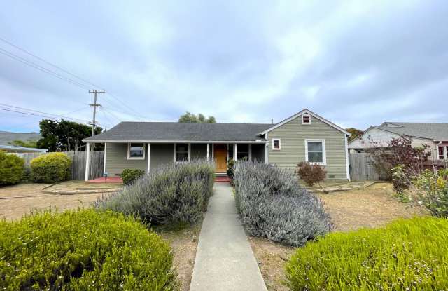 Upgraded Contemporary Craftsman photos photos
