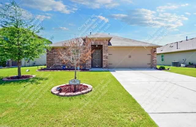 713 Luna Vista Dr - 713 Luna Vista Drive, Hutto, TX 78634