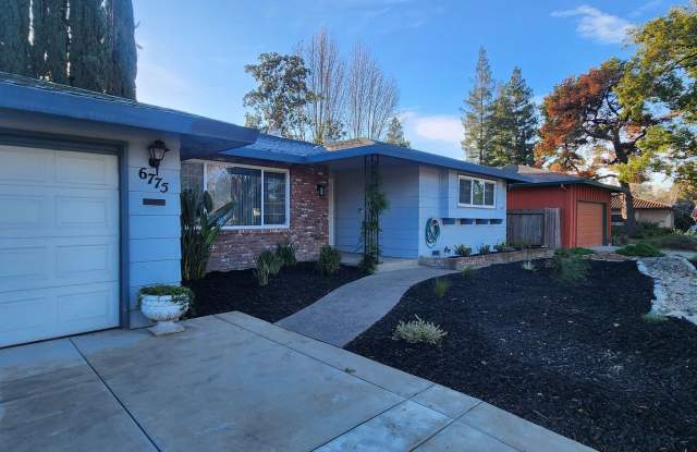Beautiful 3 Bedroom 2 Bathroom Home in Greenhaven Gallery 3