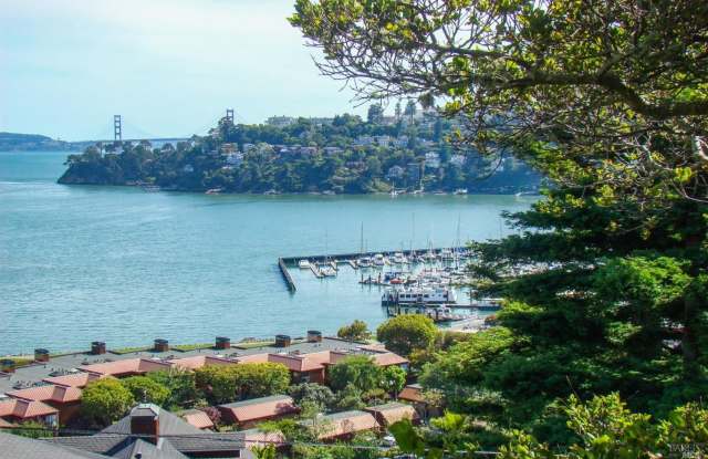 1875 Centro West Street - 1875 Centro West Street, Tiburon, CA 94920