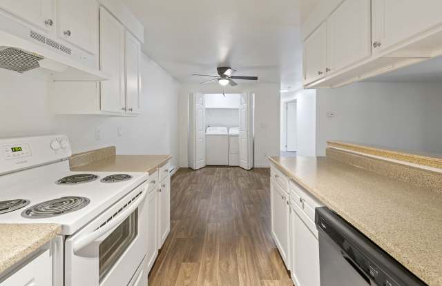 Alvista 240 Gallery 3