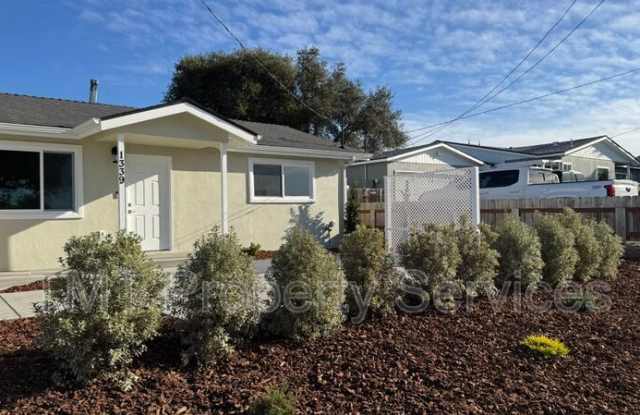 1339 Newport Avenue photos photos