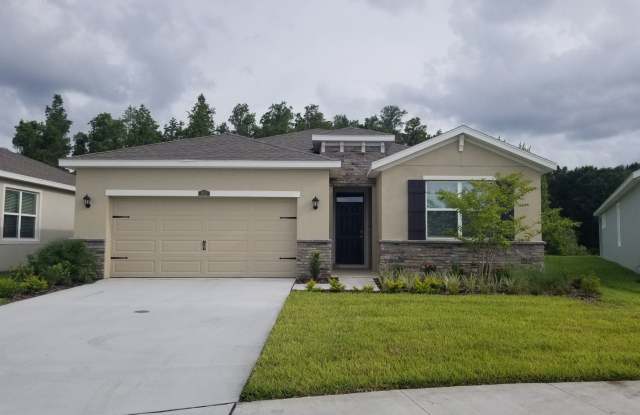 1052 Manzanar Pl - 1052 Manzanar Place, Wesley Chapel, FL 33543