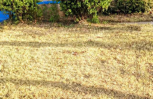 1415 Geeston Street photos photos 1415 Geeston Street photos photos