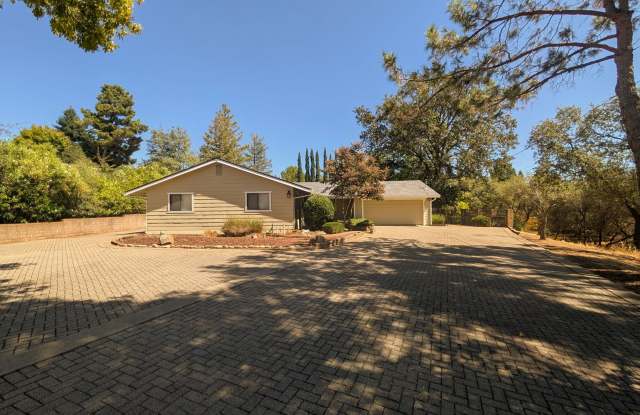 Gorgeous Yard / Well Established Neighborhood Gallery 4