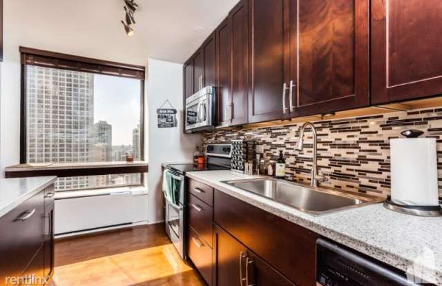 50 East Bellevue Condominiums Gallery 3