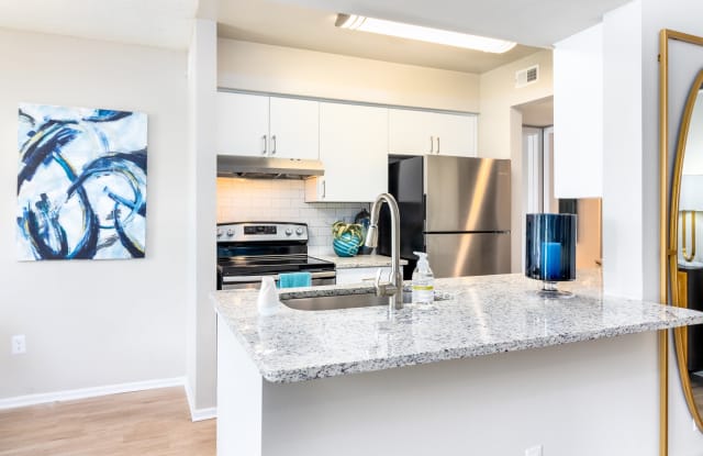 Vantage on Hillsborough Apartments Gallery 4
