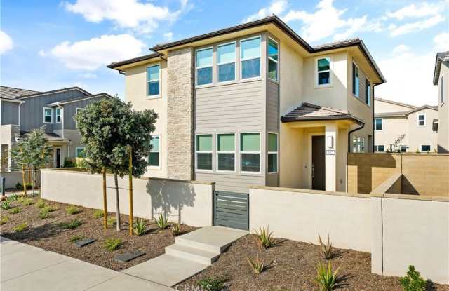 647 Gadwall photos photos 647 Gadwall photos photos