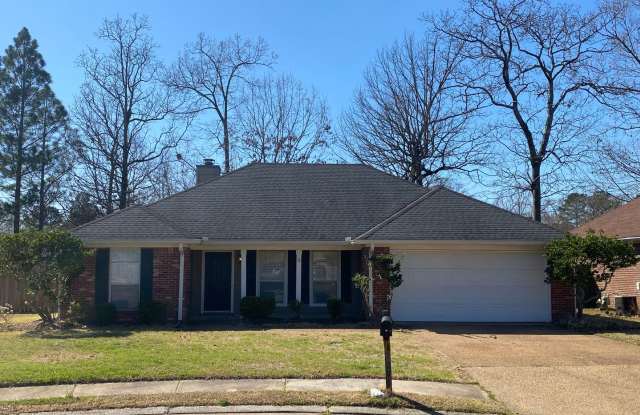 A Gem in the heart of Brandon, MS photos photos