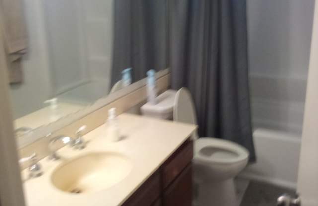 1309 Winterwood Lane photos photos