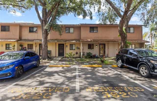 3920 Cedar Limb Court - 3920 Cedar Limb Court, Egypt Lake-Leto, FL 33614