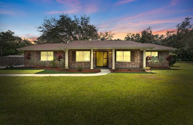 1908 North Village Avenue - 1908 North Village Avenue, Lake Magdalene, FL 33612