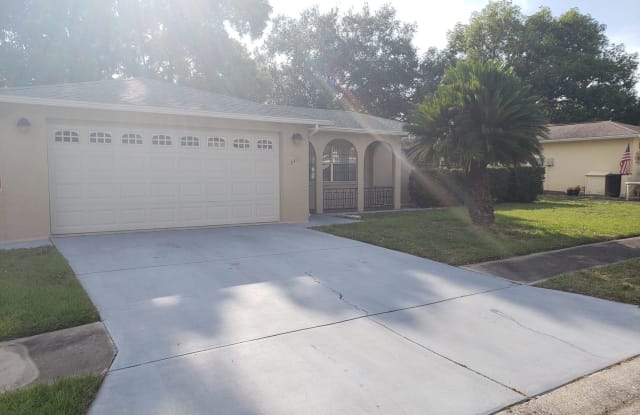 3411 Paloma Dr. - 3411 Paloma Drive, Elfers, FL 34690