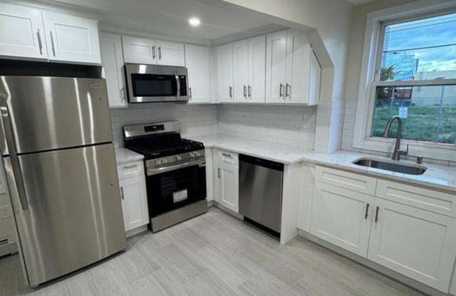 93 Bruen Street #1 photos photos