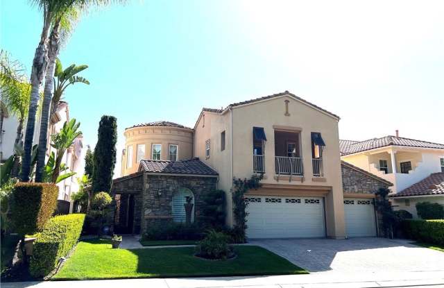 12 Water Lily photos photos