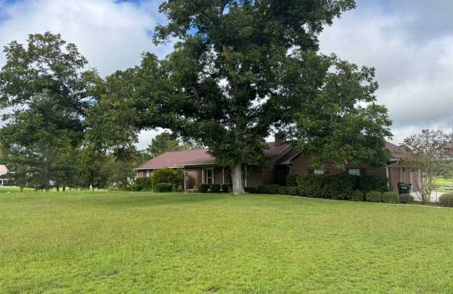 4909 Perry Rd - CLAXTON, GA Gallery 1