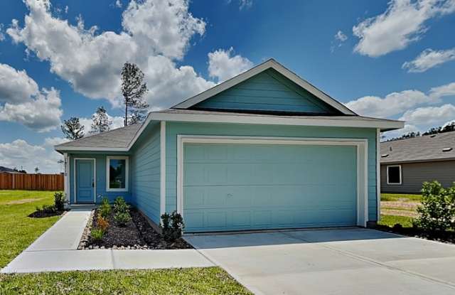 18710 Barrichello Drive - 18710 Barrichello Drive, Montgomery County, TX 77306