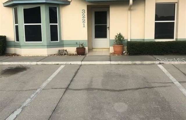 3221 VILLA WAY CIRCLE photos photos