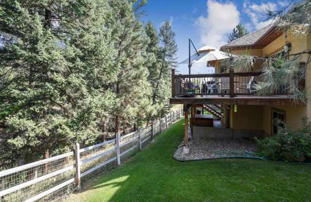 A True Lolo MT Gem! Gallery 3