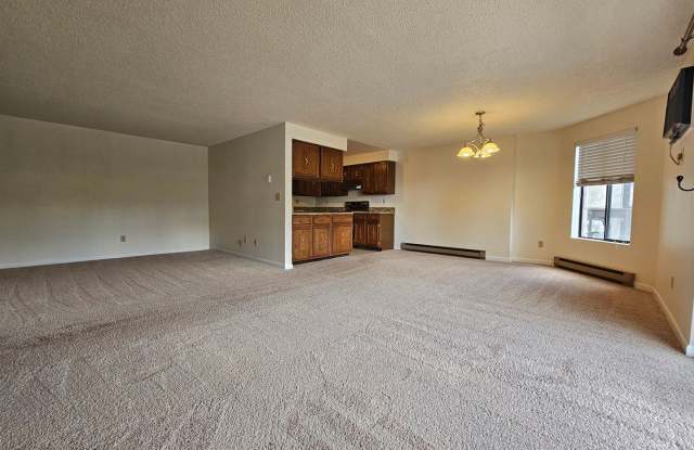 Spacious Condo on the South Hill photos photos