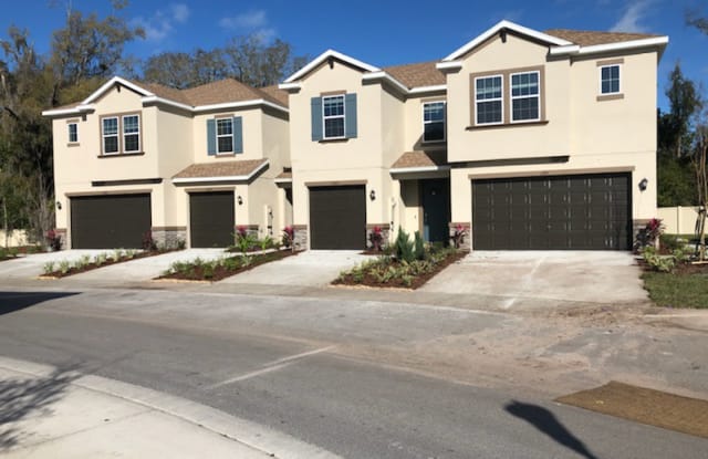 6743 Citrus Creek Ln - 6743 Citrus Creek Ln, Citrus Park, FL 33625