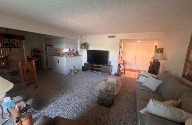 Sun Lakes Seasonal Rental Gallery 3