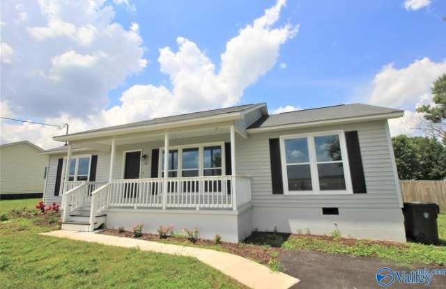 538 Loveless Road - 538 Loveless Road, Madison County, AL 35750