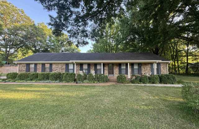 335 ALEXANDER photos photos