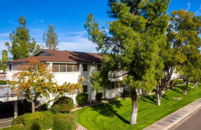 Azara Tempe photos photos Azara Tempe photos photos