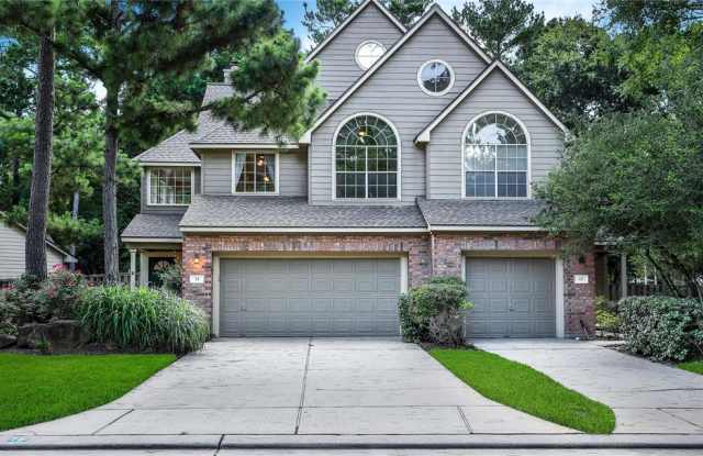 75 E Lakeridge Drive - 75 E Lakeridge Dr, The Woodlands, TX 77381