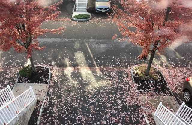 8 ALEXANDER CT Gallery 2