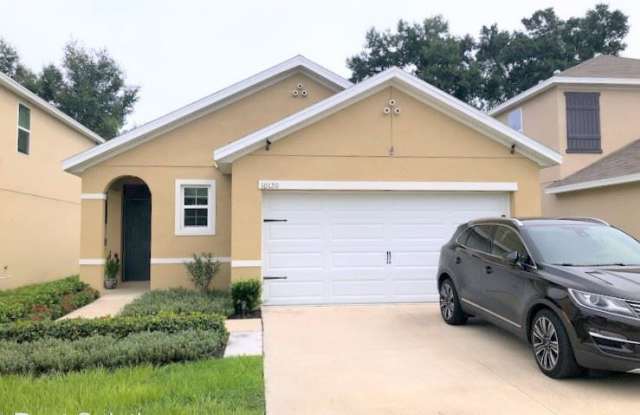 10120 Hawk Storm Avenue - 10120 Hawk Storm Avenue, East Lake-Orient Park, FL 33610
