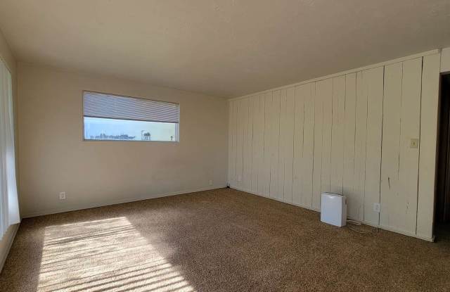 Adorable Single-Level with Washer/Dryer Hookups, Fenced Yard, & Carport! Gallery 4